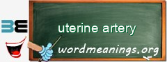 WordMeaning blackboard for uterine artery